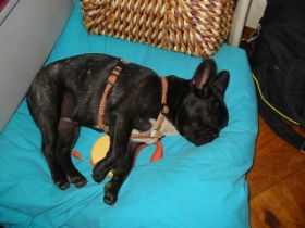 ausstellung hildesheim müde.JPG