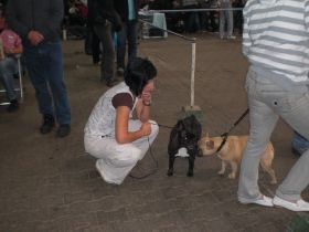 ausstellung straubing vor.JPG