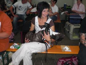 straubing coole socke.JPG