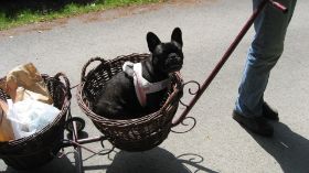 gartenromantik wolfsburg 2.JPG